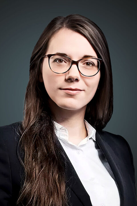 ROXIN Expertenteam aus Rechtsanwälten und Strafverteidigern